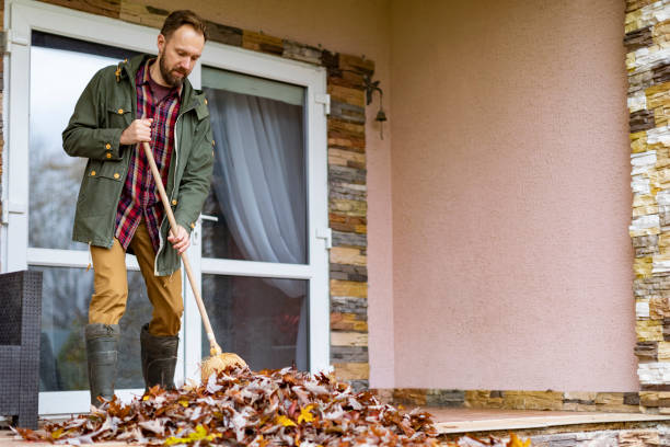 Yard Cleanup Services in Dalton, OH